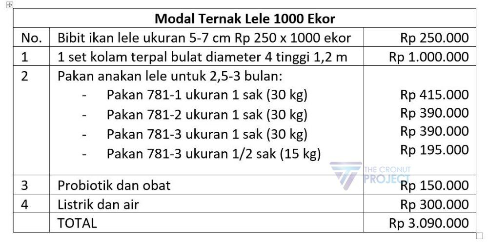 Modal Ternak Lele Sampai Panen